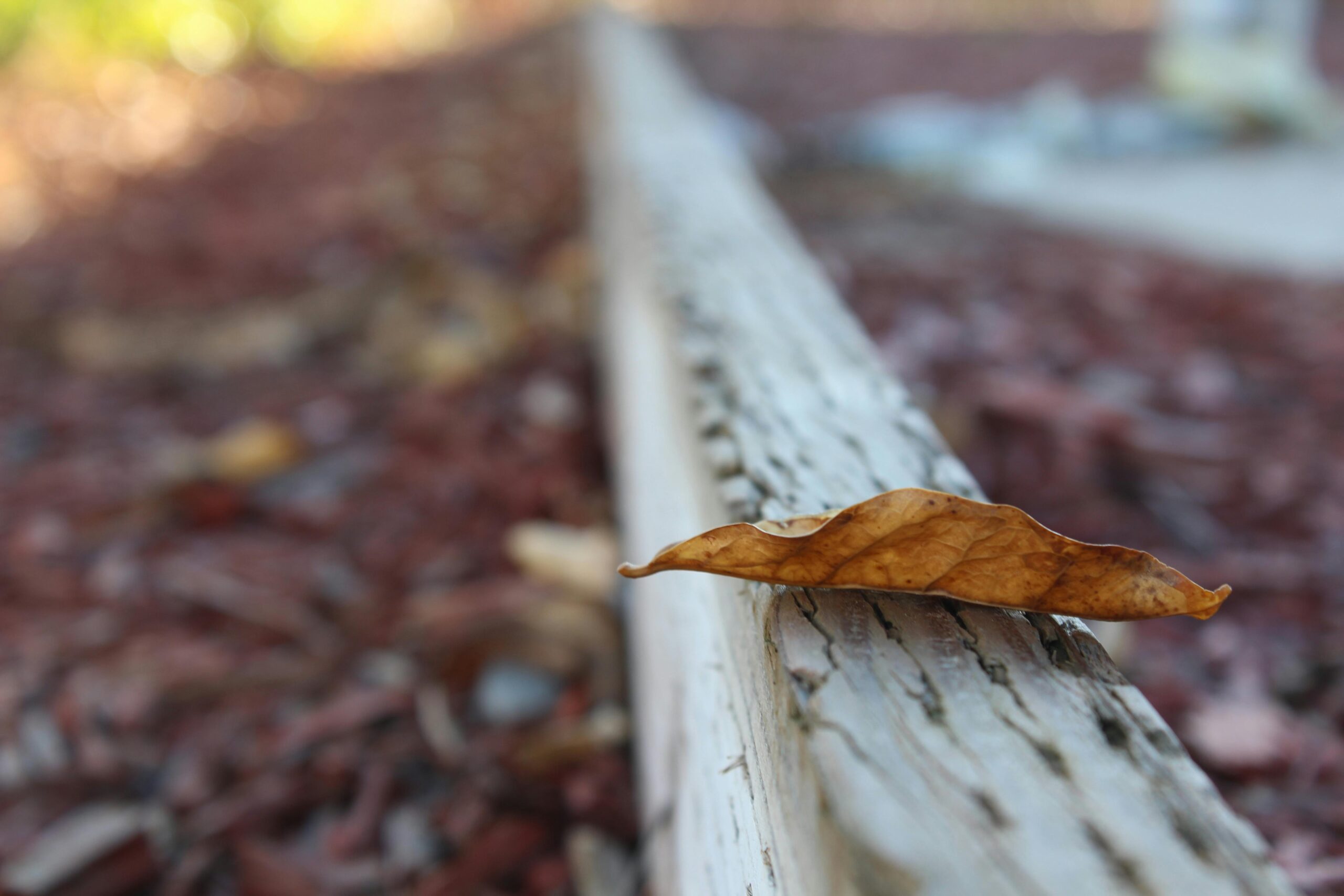 Realidad en movimiento, vida en pausa…