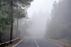 Carretera desierta rodeada de árboles y envuelta en densa bruma, símbolo de pausa, silencio y búsqueda interior.